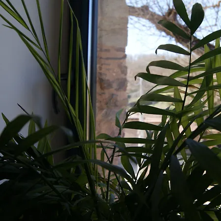 Hotell Rural Campares