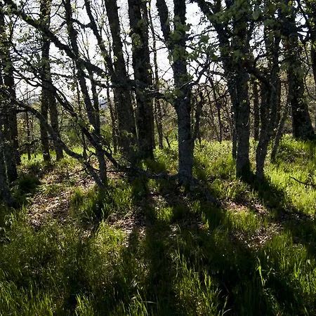 Hotell Rural Campares