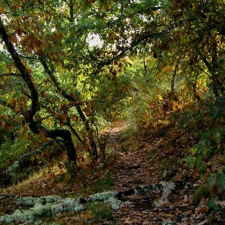 Rural Campares Callejo de Ordás