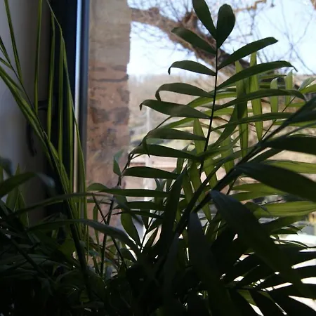 Rural Campares Hotell