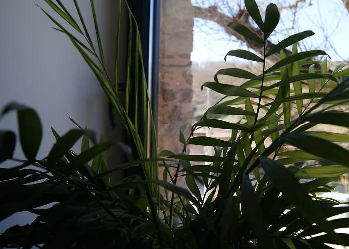 Hotel Rural Campares